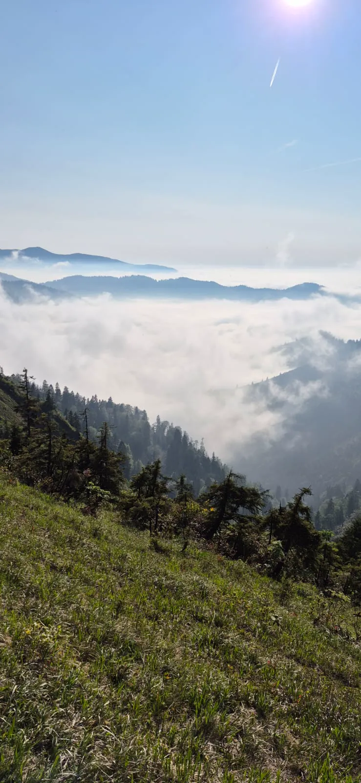 Bee hive and honey production